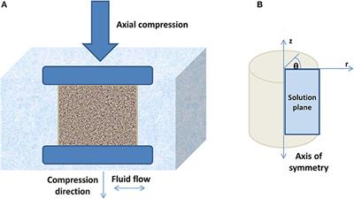 On the Comparative Suitability of Strain Relaxation and Stress Relaxation Compression for Ultrasound Poroelastic Tissue Characterization